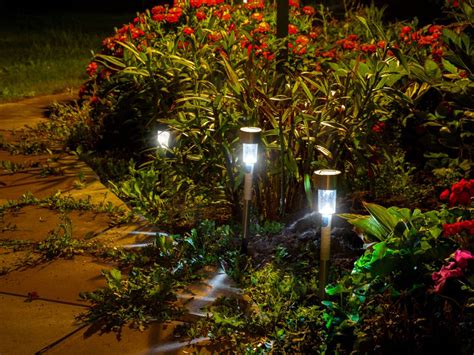 Bring a touch of magic to your garden with solar-powered lights.